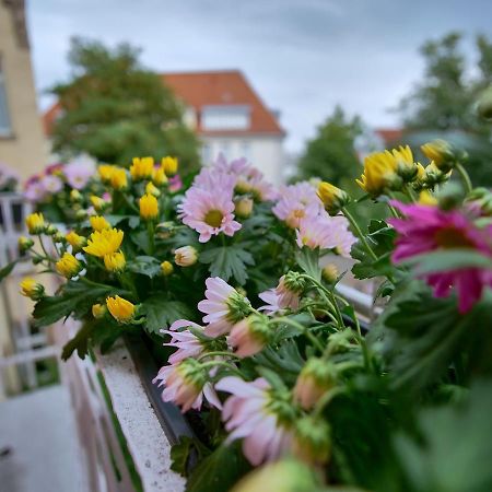 Appartement Otto I - Erfurt Zentrum Экстерьер фото