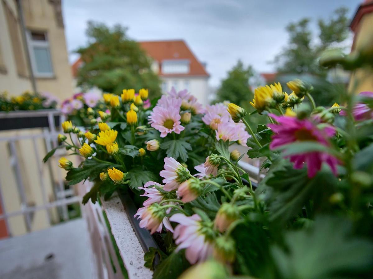 Appartement Otto I - Erfurt Zentrum Экстерьер фото